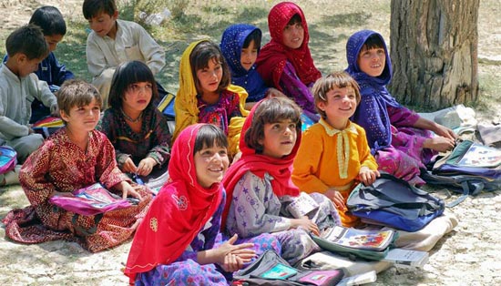 手机号压测网站